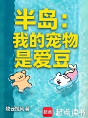 �뵺���ҵĳ����ǰ���